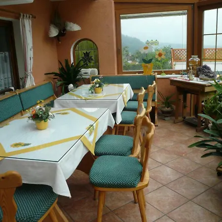 Landhaus Mayr * 韦兴