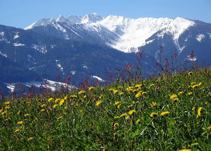 Landhaus Mayr بيت ضيافة