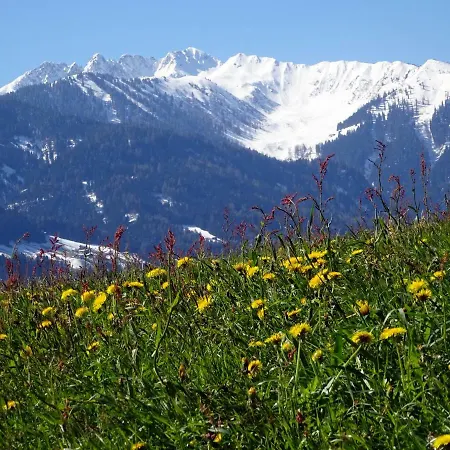 Landhaus Mayr 게스트하우스